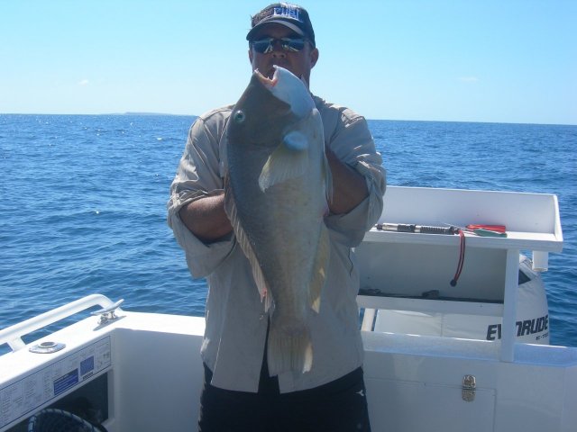 waterworld comp /nice baldy of dampier reef